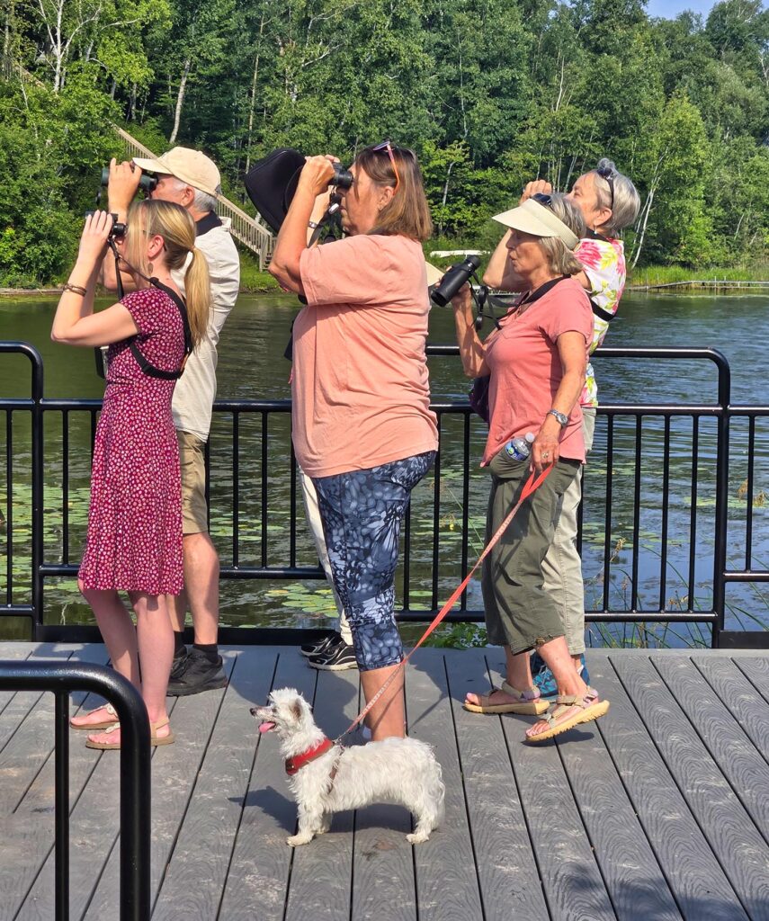 Six birders stand on a dock and look to the sky using binoculars.
