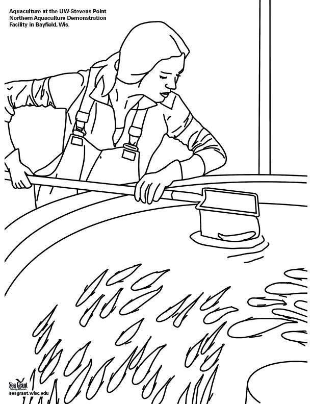 Coloring book page showing aquaculture at the UW-Stevens Point Northern Aquaculture Demonstration Facility in Bayfield WI